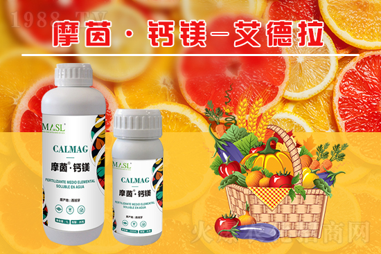 �����a�}�S���ځ��ˣ�����a���}�V����