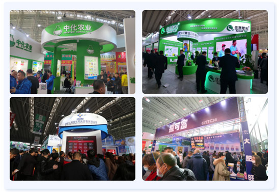 2022�����I�r(n��ng)�Y���[��13