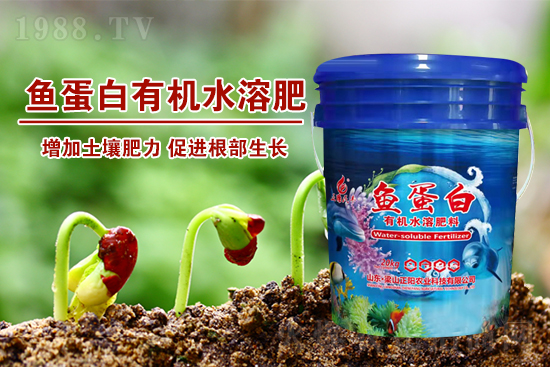 魚(yú)蛋白肥增產(chǎn)效果驚人！70%人不知道的內(nèi)幕曝光