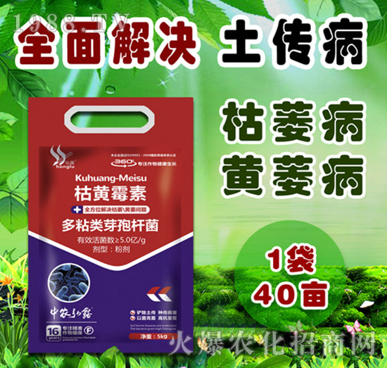     ��(x��)���Բ�������Щ������ˎ����ô�x��һƪ�����f����