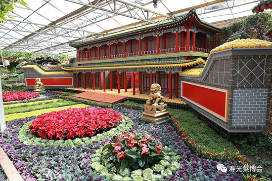 �ڶ�ʮ���É۹�˲���1