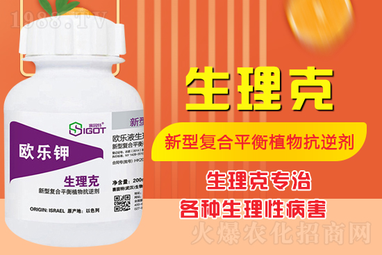 ����Ě������ʲô�Y������ô��Q����Ě������