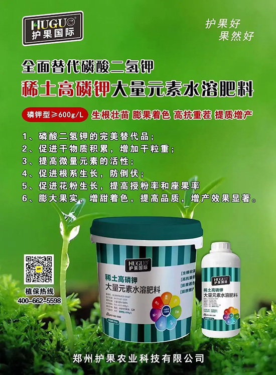 ⛷ʴ�q�r���@�N⛷���ݶ���������������⛣���ռ���f�Ј�