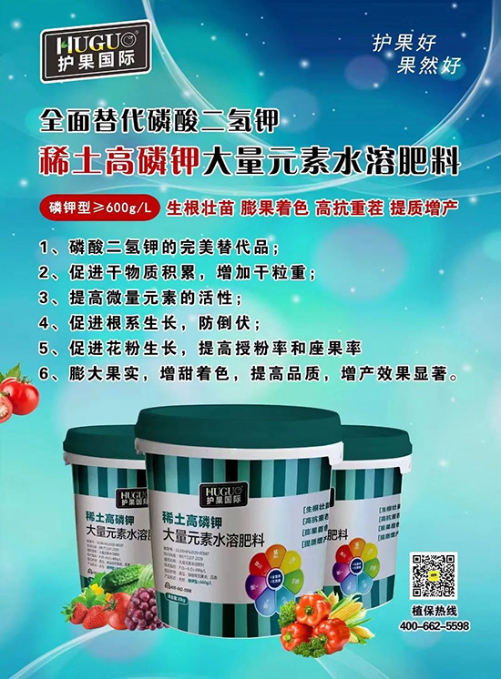 ⛷ʴ�q�r���@�N⛷���ݶ��������������������ռ���f�Ј�