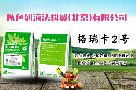 果蔬膨果增產(chǎn)的秘密!杜絕裂果空果,以色列原裝進(jìn)口,配方萬(wàn)里挑一!