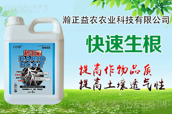 作物根系決定作物產(chǎn)量！這樣做，根系發(fā)達(dá)，白根多，用肥少！