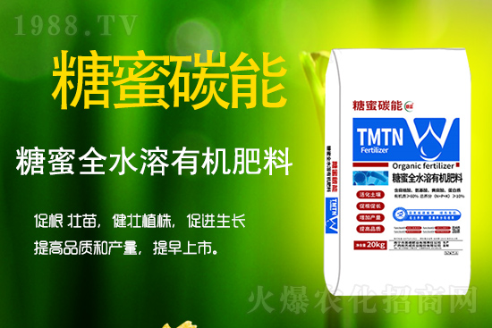 作物如何生根壯根、促花保果呢？學會這些事半功倍！