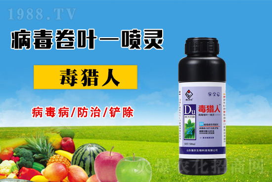 病毒病危害時期,怎么做好防治?