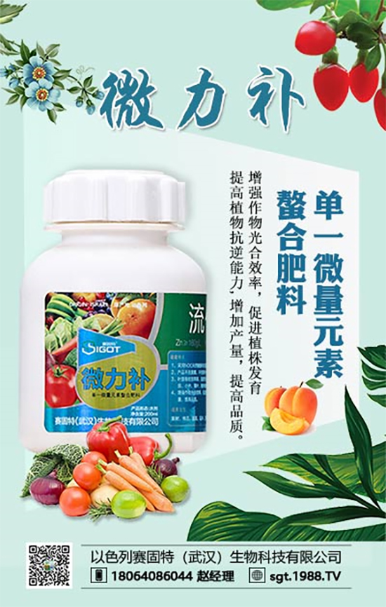 ���ι���С�~���S�~�������������У�