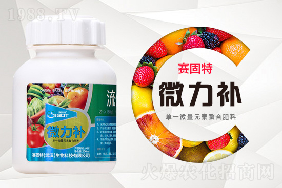 ���ι���С�~���S�~����������������