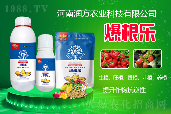     河南潤(rùn)方農(nóng)業(yè)科技有限公司【微生物菌劑-爆根樂-土草帽】可幫助植物建立強(qiáng)壯強(qiáng)大的根系，促進(jìn)植物對(duì)土壤養(yǎng)分、水分與氣體的吸收利用。生根、旺根、爆根、壯根、養(yǎng)根，增強(qiáng)抗逆性。