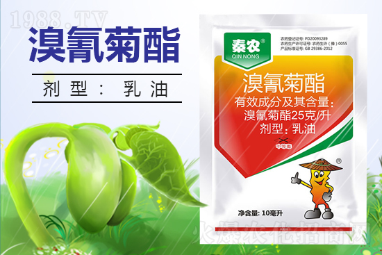 ������ˎ������������߀Ҫ��᣿