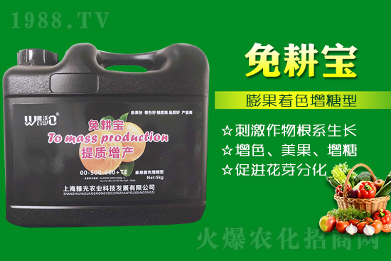 ���Ѵ߼t��ʩ��ô������ʲô������