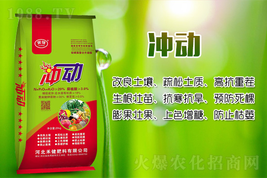 辣椒移栽后幼苗生長緩慢的原因!