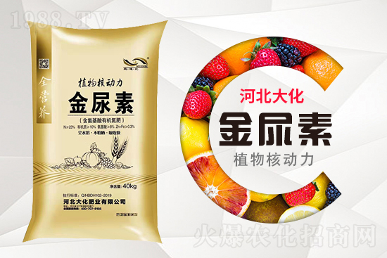 ���ص����ܲ������~��ʣ���ô����