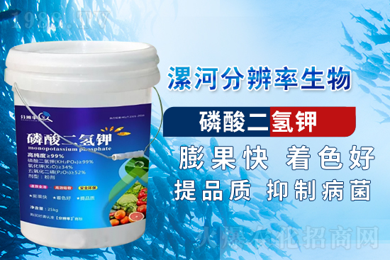 �~��ʵć�ʩ�`�^(q��)���@���c(di��n)�e������