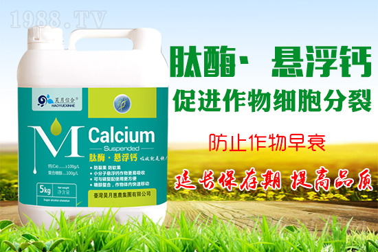 �O���仨���a(b��)�}���P(gu��n)�I���O���a(b��)�}���Ă�(g��)�`�^(q��)��֪������