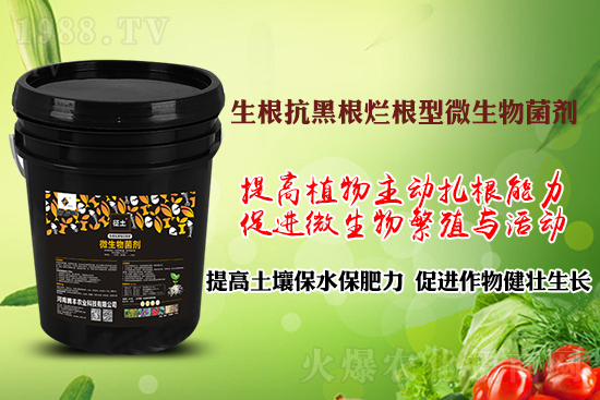 作物黑根爛根、黃苗弱苗頻發(fā)？用“它”輕松解決！百萬種植戶都在用！