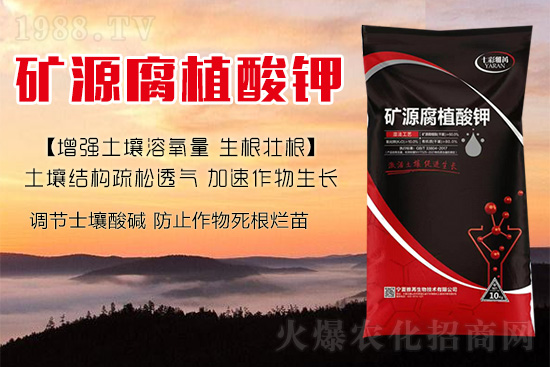 ����Nֲ��������(d��ng)�ׂ��������Ӹ��Ƹ�ϵ��r����