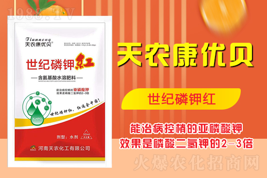 ���������ʲô���������˽����