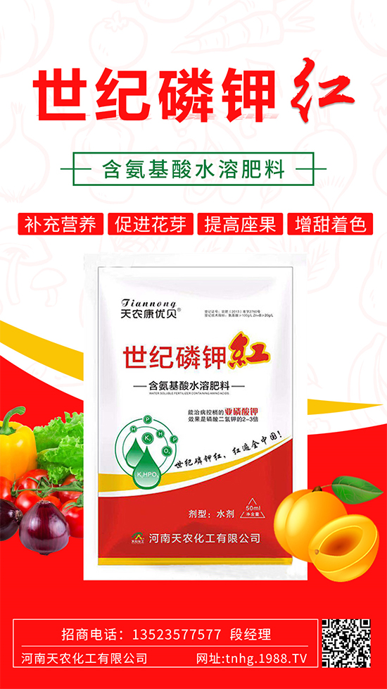 ���������ʲô���������˽����