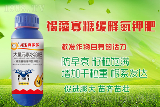 ����߮a����������^����ʩ����Щ�����ʩ��