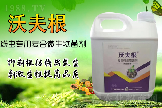 ���Y(ji��)���x��Ⱦ������������������������Ч����!