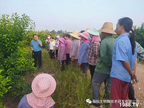 ���M(j��n)���g���^���������ٮa(ch��n)�I(y��)