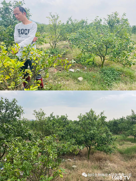 ���M(j��n)���g���^���������ٮa(ch��n)�I(y��)