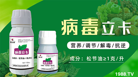 �ƽ�ֲ�ﲡ�������y�}�����ٻ֏�(f��)���C(j��)���@��(g��)ˎ���Ͼ͹�����