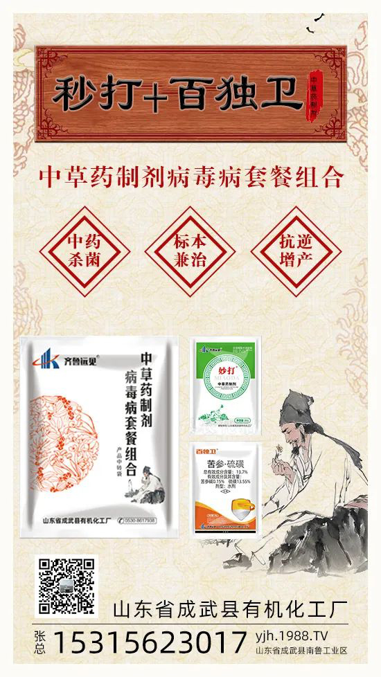 ��ֲ�ﰩ�Y-���������������������в�ˎ������������