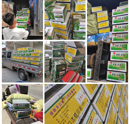 ��ֲ�ﰩ�Y-���������������������в�ˎ������������