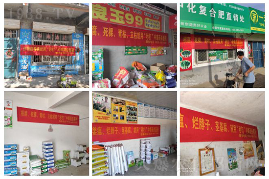 ��ֲ�ﰩ�Y-���������������������в�ˎ������������