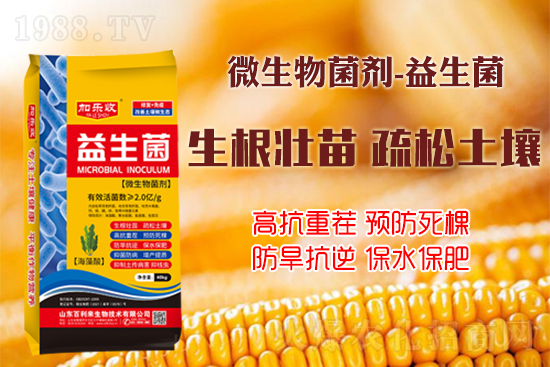 ������������Ѹ����L�ݸ�ïʢ���W(xu��)���@Щ�°빦����