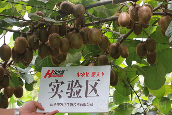 �J����������c����Щ���J����������ôʩ