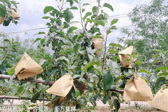     ����(sh��)�״���ɜp���r(n��ng)ˎ���������ƹ��ӵ����^Ʒ�|(zh��)���ɴ����߹�Ʒ�u���������׳��۲��u���߃r�����Թ����״�Ŀǰ��Ȼ���҇����@����Ҫ�����������״��O��������Ǻ���Ҳ�ٲ�����