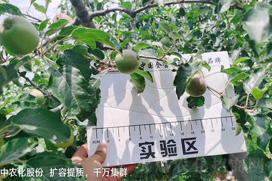     ����(sh��)�״���ɜp���r(n��ng)ˎ���������ƹ��ӵ����^Ʒ�|(zh��)���ɴ����߹�Ʒ�u���������׳��۲��u���߃r�����Թ����״�Ŀǰ��Ȼ���҇����@����Ҫ�����������״��O��������Ǻ���Ҳ�ٲ�����