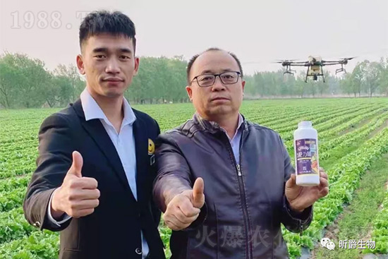 ����׷�ʏ�(f��)�Ϸʺ�߀�����غ����ܶ��˶��e(cu��)�������������_�x��