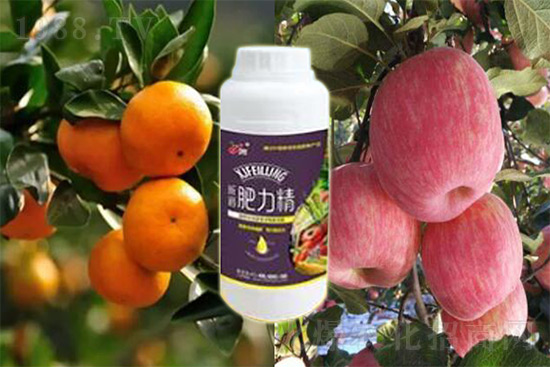 ����׷�ʏ�(f��)�Ϸʺ�߀�����غ����ܶ��˶��e(cu��)�������������_�x��