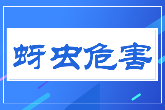 蚜蟲(chóng)危害