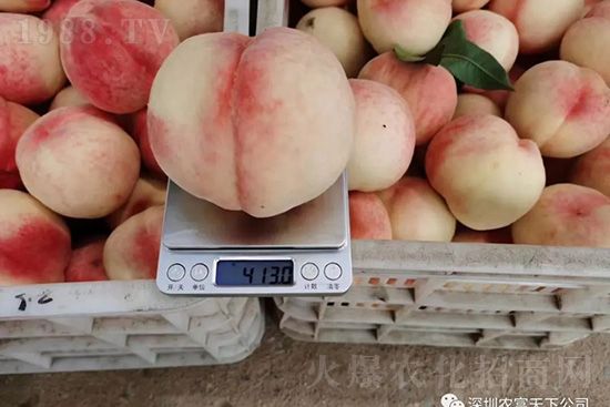 �Ҙ������ô�k���Ҙ����ԭ���A(y��)������