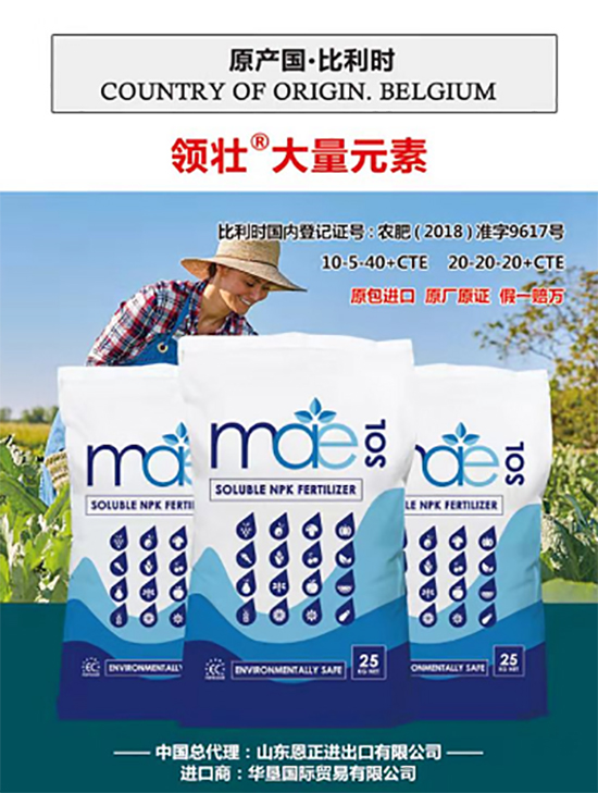 交500頂2000，高端進口肥“性價比霸主”