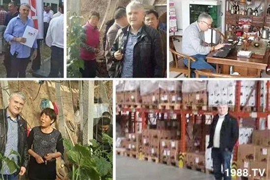 交500頂2000，高端進口肥“性價比霸主”