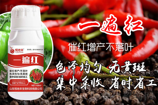 辣椒為什么要增紅?辣椒增紅上色哪個牌子好?