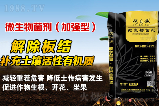礦源黃腐酸鉀你了解多少？礦源黃腐酸鉀遇見微生物菌劑有啥奇妙反應(yīng)？