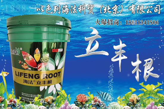 海藻肥生根效果怎么樣？比傳統(tǒng)肥料好在哪