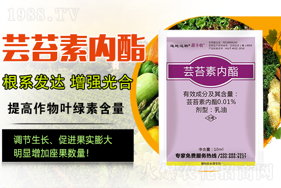 �|̦�؃�����ɶ���Q��ֲ�����ˎ���|̦�؃�����ô�x��