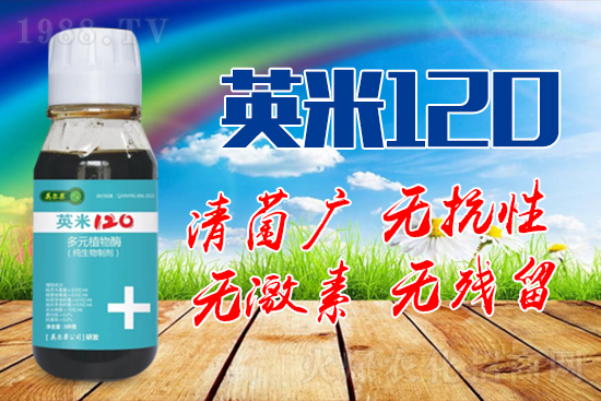 ��轰׷۲��İY����ʲô����轰׷۲����η�����