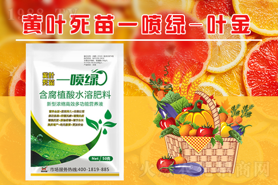 ���ݶ������r�I(y��)�Ƽ����޹�˾5