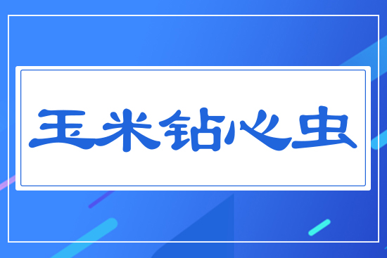 �����@���x